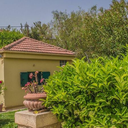 Sylvia'S Guest House Kavrokhorion ภายนอก รูปภาพ